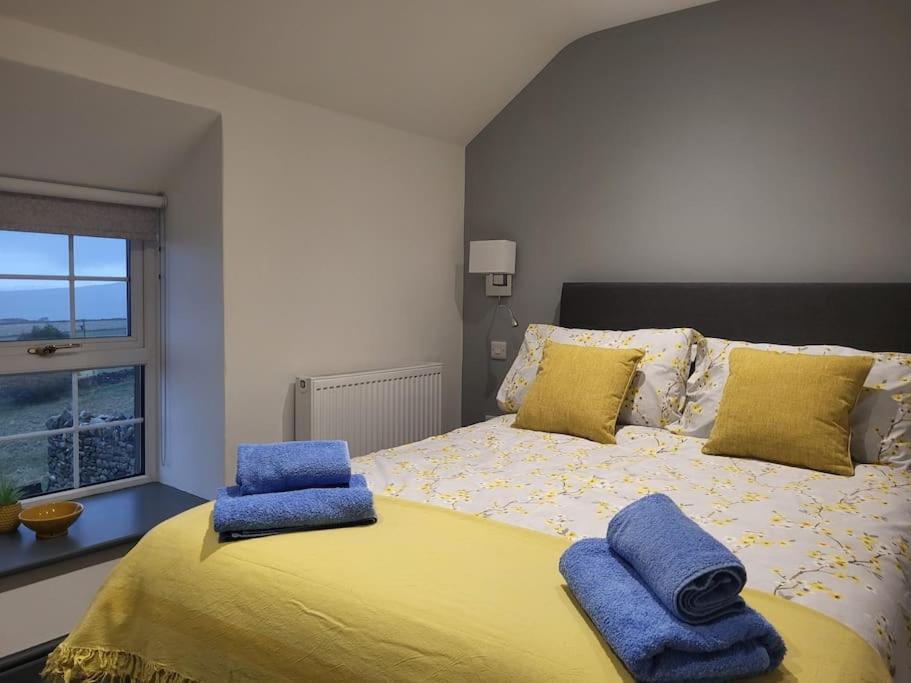 Villa Amazing Coastal & Sunset Views In Eryri Llanllyfni Esterno foto